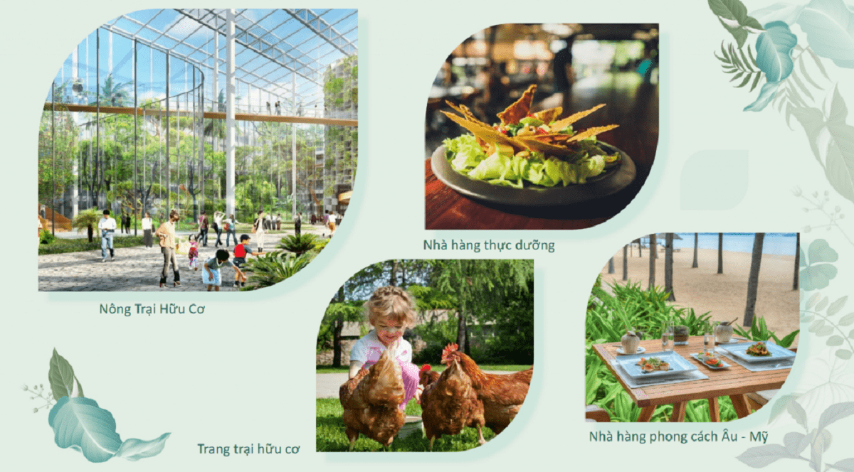 Tiện ích nổi bật tại L'Alyana Senses World Phú Quốc gồm nông trại hữu cơ, nhà hàng thực dưỡng và nhà hàng ven biển